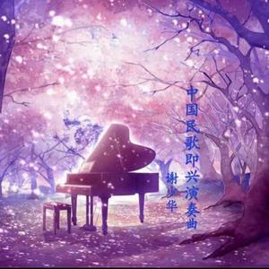 一道本在线视频
