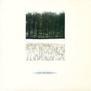 一道本在线视频
